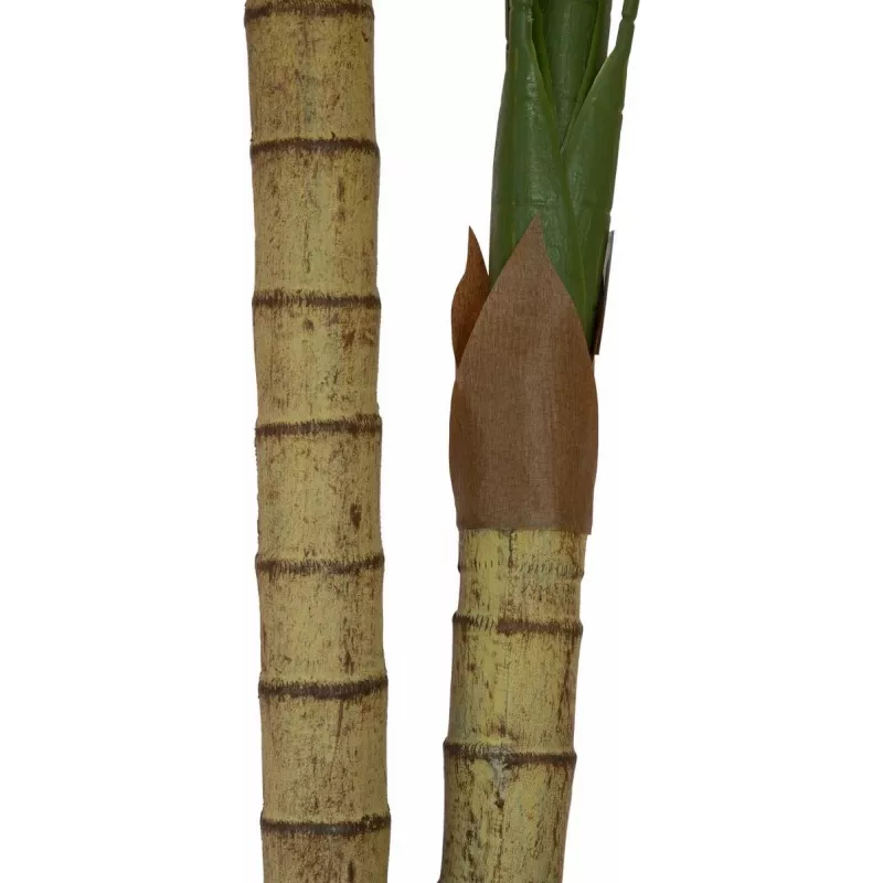 EUROPALMS Areca-Palme, 2-stämmig, τεχνητό φυτό, 120cm (82509410)