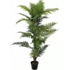 EUROPALMS Areca-Palme τεχνητό φυτό, 150cm 82509414