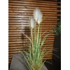 EUROPALMS τεχνητό φυτό άγριας βλάστησης, 120cm 82600123