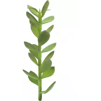EUROPALMS βλαστός δέντρου της τύχης τεχνητό φυτό, 30cm 82809010