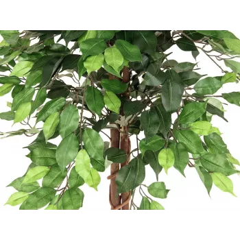 EUROPALMS Ficus Benjamina τεχνητό φυτό πολλαπλών κορμών, 150cm 82506125