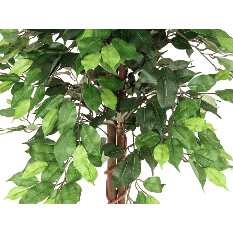 EUROPALMS Ficus Benjamina τεχνητό φυτό πολλαπλών κορμών, 150cm 82506125