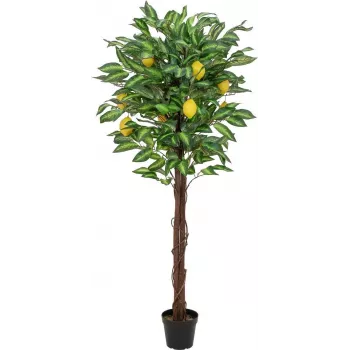 EUROPALMS τεχνητή λεμονιά, 150cm 82507815