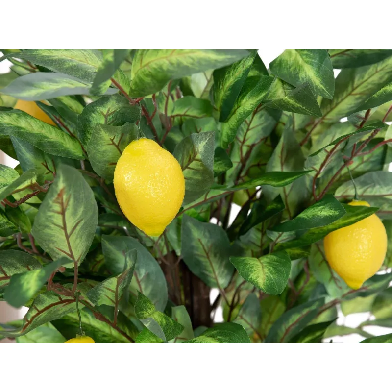 EUROPALMS τεχνητή λεμονιά, 150cm 82507815