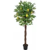EUROPALMS τεχνητή λεμονιά, 150cm 82507815