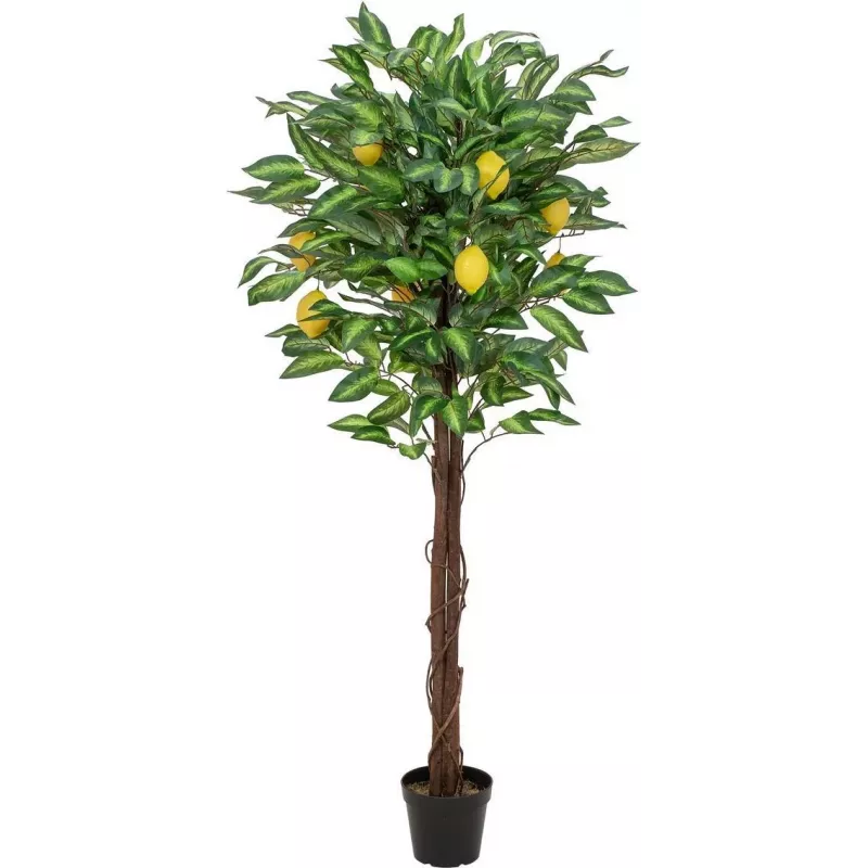 EUROPALMS τεχνητή λεμονιά, 150cm 82507815