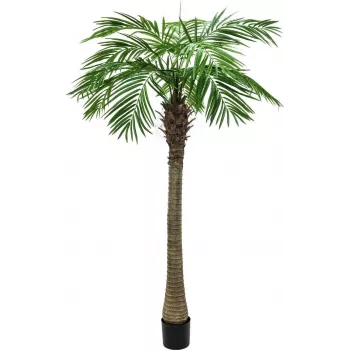 EUROPALMS Τεχνητό φυτό Phoenix Palm Luxor, 300cm 82510723