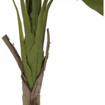 EUROPALMS τεχνητό φυτό μπανανιάς, 145cm 82509504