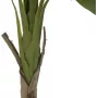 EUROPALMS τεχνητό φυτό μπανανιάς, 145cm 82509504