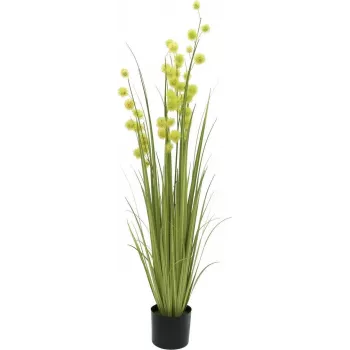 EUROPALMS τεχνητό φυτό pompom grass, 122 cm, πράσινο 82500136