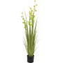 EUROPALMS τεχνητό φυτό pompom grass, 122 cm, πράσινο 82500136