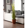 EUROPALMS τεχνητό φυτό pompom grass, 122 cm, πράσινο 82500136