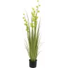 EUROPALMS τεχνητό φυτό pompom grass, 122 cm, πράσινο 82500136