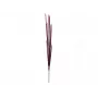 EUROPALMS Magic Onion Grass τεχνητό φυτό, ροζ, 134 cm 82532003