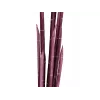 EUROPALMS Magic Onion Grass τεχνητό φυτό, ροζ, 134 cm 82532003