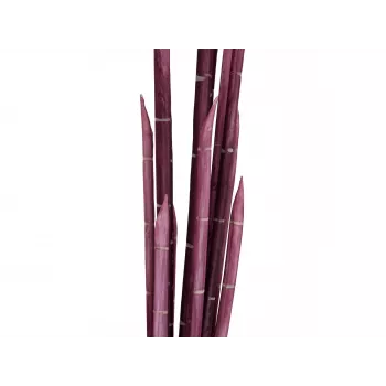EUROPALMS Magic Onion Grass τεχνητό φυτό, ροζ, 134 cm 82532003