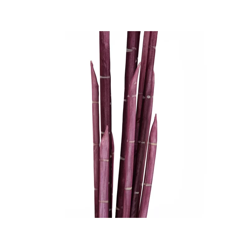 EUROPALMS Magic Onion Grass τεχνητό φυτό, ροζ, 134 cm 82532003