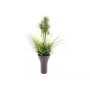 EUROPALMS σύνθεση τεχνητού γκαζόν, 90cm, πράσινη, σε μαύρη γλάστρα 82600137