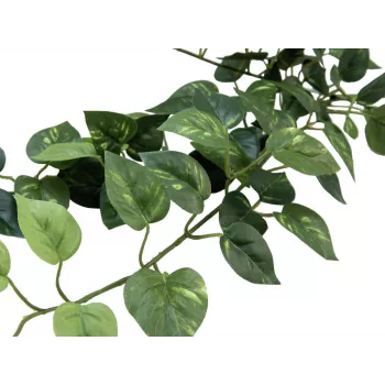 EUROPALMS Pothos Θάμνος φράχτης Classic, τεχνητό, 70cm (82502201)