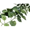 EUROPALMS Pothos Θάμνος φράχτης Classic, τεχνητό, 70cm (82502201)