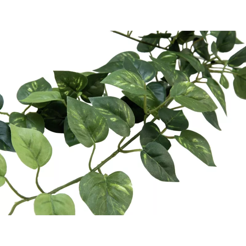 EUROPALMS Pothos Θάμνος φράχτης Classic, τεχνητό, 70cm (82502201)