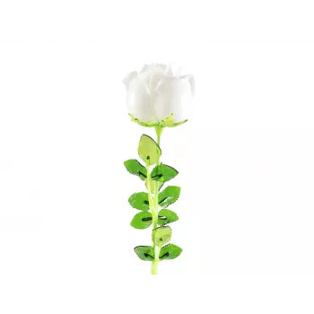 EUROPALMS Crystal Rose Τεχνητό λουλούδι, λευκό, 81 cm, 12 τεμ. 82600208
