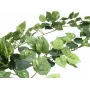 EUROPALMS Pothos Γιρλάντα Classic, τεχνητή, 180cm 82503728
