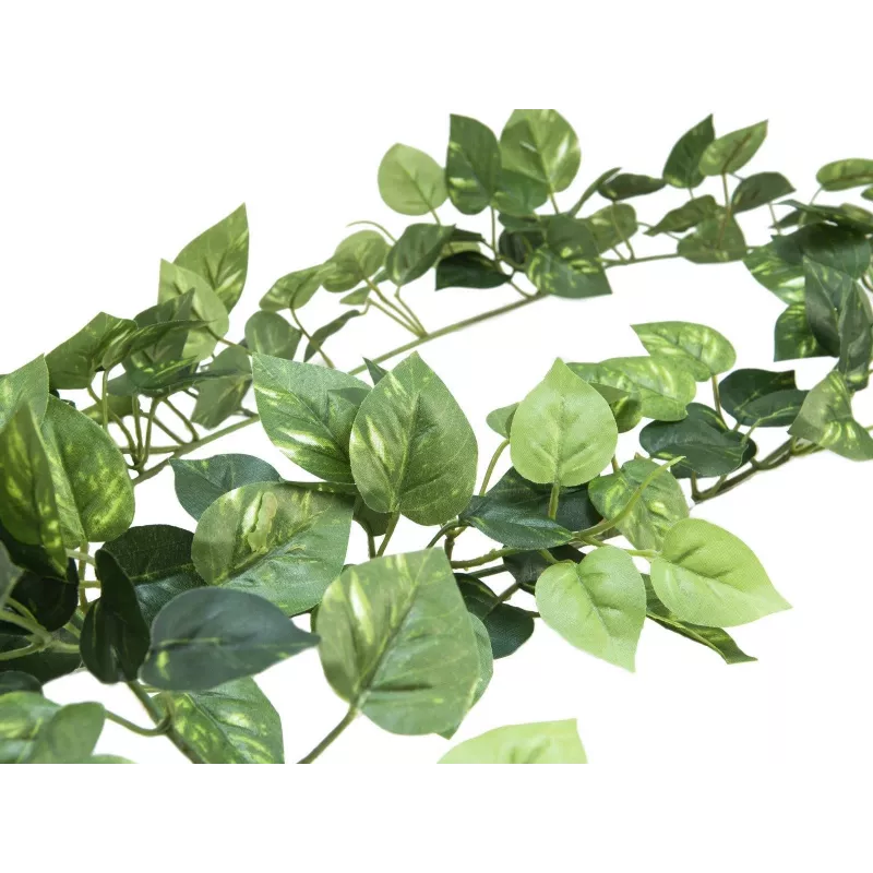 EUROPALMS Pothos Γιρλάντα Classic, τεχνητή, 180cm 82503728
