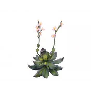 EUROPALMS Stone Rose (EVA) Τεχνητό φυτό, ροζ, 32cm 82530572