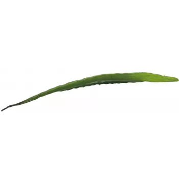 EUROPALMS Τεχνητό φύλλο αλόης (EVA), πράσινο, 60cm 82530581