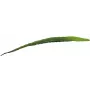 EUROPALMS Τεχνητό φύλλο αλόης (EVA), πράσινο, 60cm 82530581