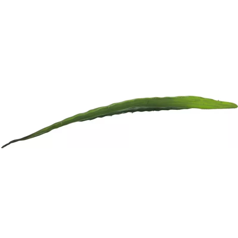 EUROPALMS Τεχνητό φύλλο αλόης (EVA), πράσινο, 60cm 82530581