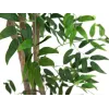 EUROPALMS Ficus Longifolia Τεχνητό φυτό, 165cm 82506350