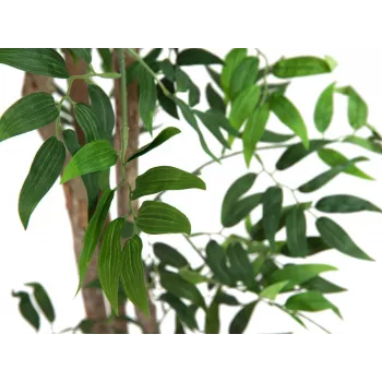 EUROPALMS Ficus Longifolia Τεχνητό φυτό, 165cm 82506350