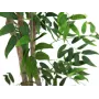 EUROPALMS Ficus Longifolia Τεχνητό φυτό, 165cm 82506350