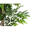 EUROPALMS Ficus Longifolia Τεχνητό φυτό, 165cm 82506350