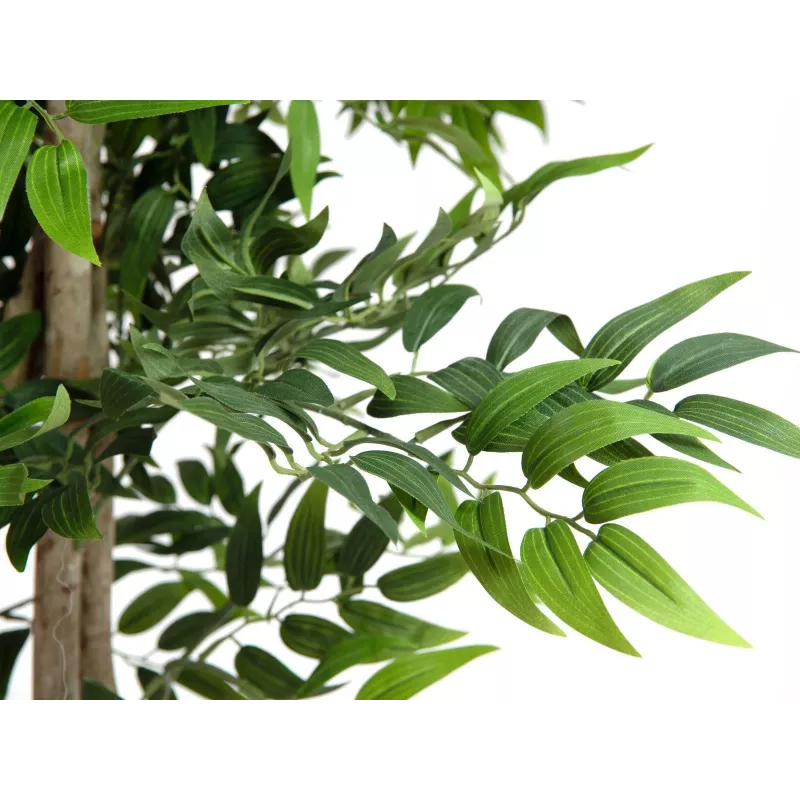 EUROPALMS Ficus Longifolia Τεχνητό φυτό, 165cm 82506350