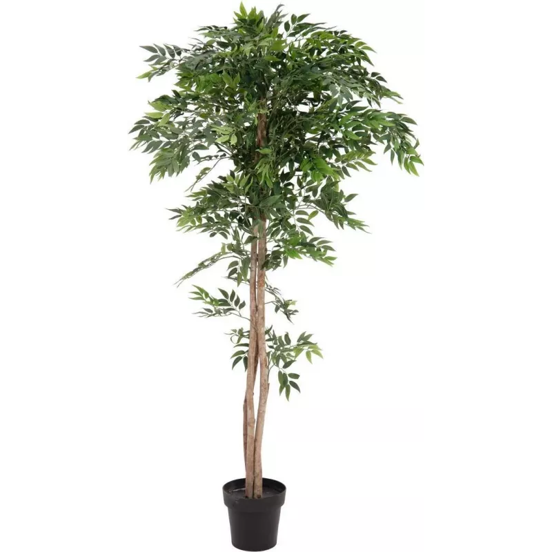 EUROPALMS Ficus Longifolia Τεχνητό φυτό, 165cm 82506350