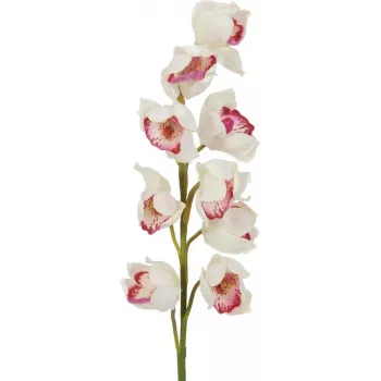 EUROPALMS Κλαδί Cymbidium, τεχνητό, λευκό-ροζ, 90cm 82530312