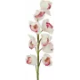 EUROPALMS Κλαδί Cymbidium, τεχνητό, λευκό-ροζ, 90cm 82530312