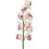 EUROPALMS Κλαδί Cymbidium, τεχνητό, λευκό-ροζ, 90cm 82530312