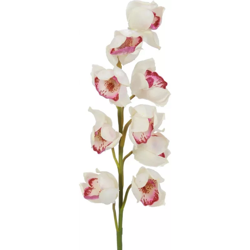 EUROPALMS Κλαδί Cymbidium, τεχνητό, λευκό-ροζ, 90cm 82530312