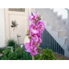 EUROPALMS Τεχνητό κλαδί ορχιδέας, μωβ, 100 cm 82530322