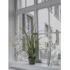 EUROPALMS Τεχνητό κλαδί ορχιδέας, κρεμ-λευκό, 100cm (82530323)