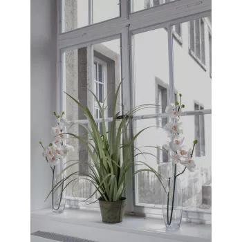 EUROPALMS Τεχνητό κλαδί ορχιδέας, κρεμ-λευκό, 100cm (82530323)