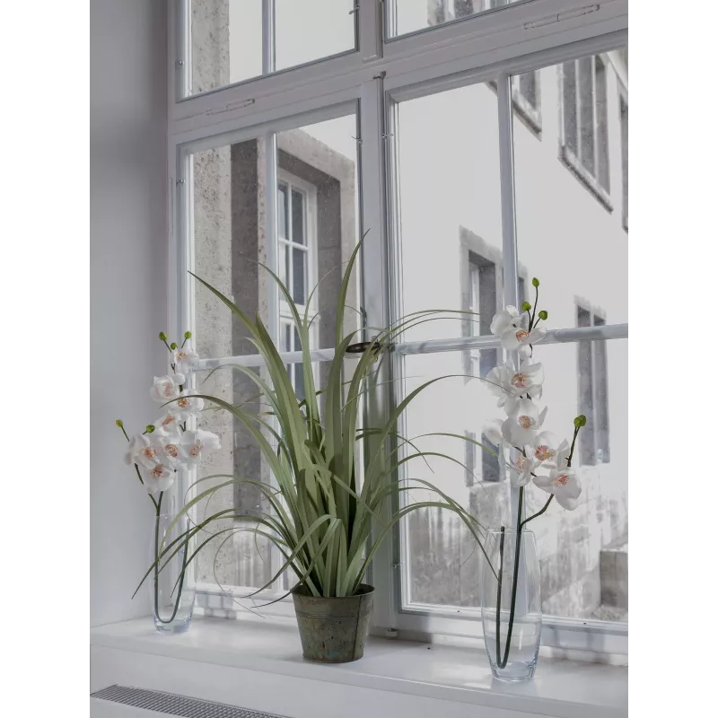 EUROPALMS Τεχνητό κλαδί ορχιδέας, κρεμ-λευκό, 100cm (82530323)