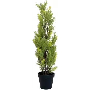 EUROPALMS Τεχνητό φυτό κυπαρίσσι Leyland, 60cm 82606959