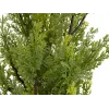 EUROPALMS Τεχνητό φυτό κυπαρίσσι Leyland, 60cm 82606959