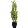 EUROPALMS Τεχνητό φυτό κυπαρίσσι Leyland, 60cm 82606959