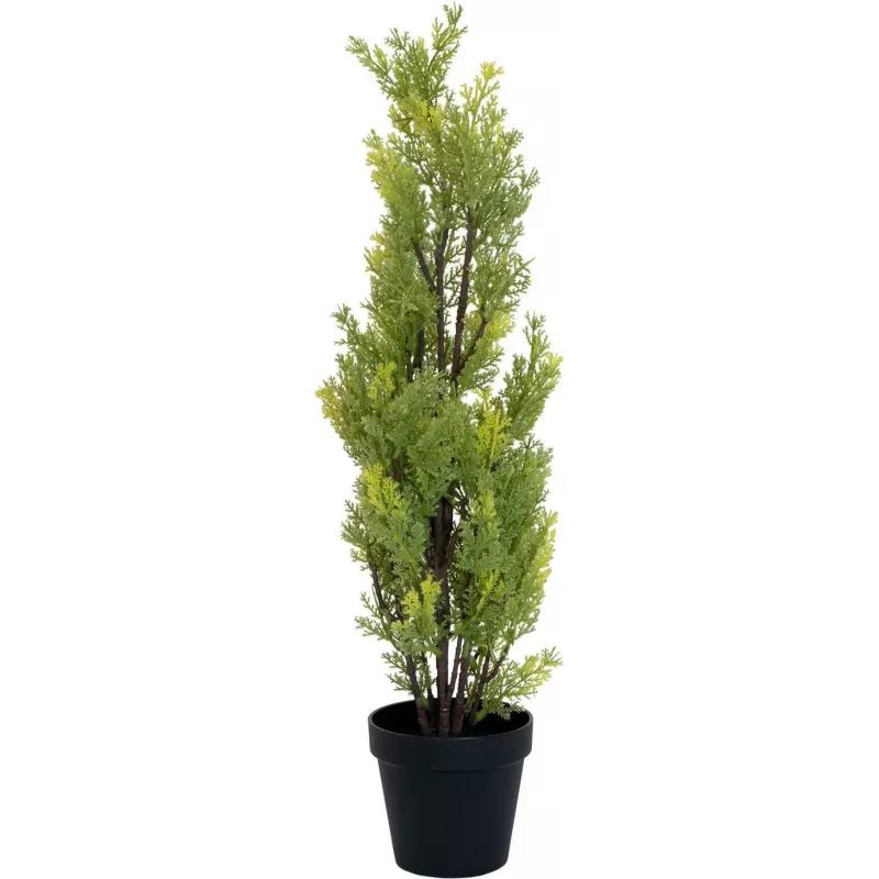 EUROPALMS Τεχνητό φυτό κυπαρίσσι Leyland, 60cm 82606959